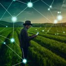 Blockchain Use Cases in Agriculture and Food Supply Chains